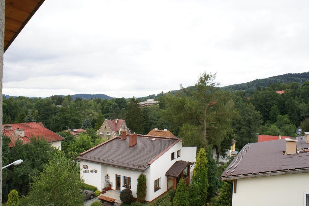 Willa Moja Gawra Lądek-Zdrój Rum bild